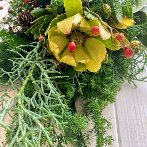生スワッグ、ハーブ♡お正月、クリスマス スワッグ 生花 クリスマス お正月 壁飾り ドア飾り 壁掛けラック