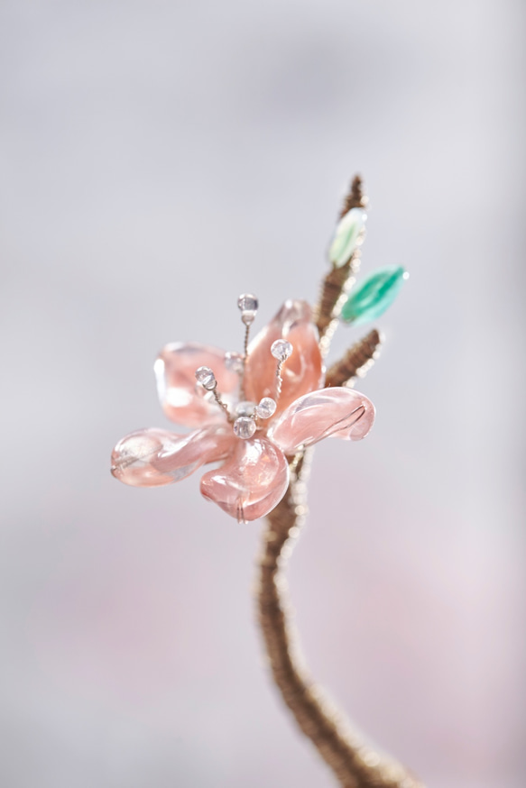 桜の花のセレモニー/桜 4枚目の画像