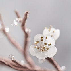 梅の花とギフト/梅の花 4枚目の画像