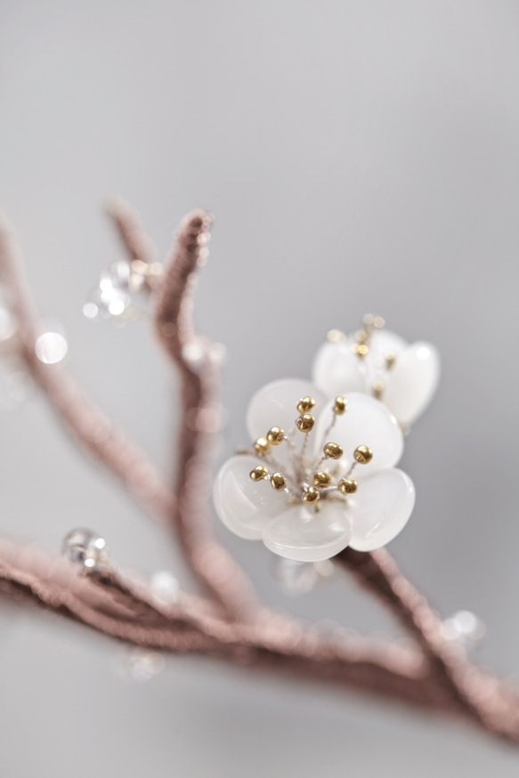 梅花花禮 / Plum blossom 第4張的照片