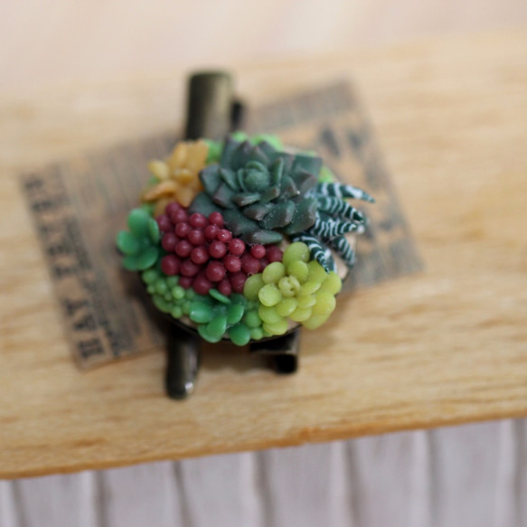 袖珍多肉髮飾夾子別針 Miniature  Succulent Plants Pin 第2張的照片