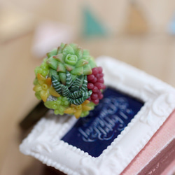 袖珍多肉戒指 Miniature Succulent Plants Ring 第2張的照片