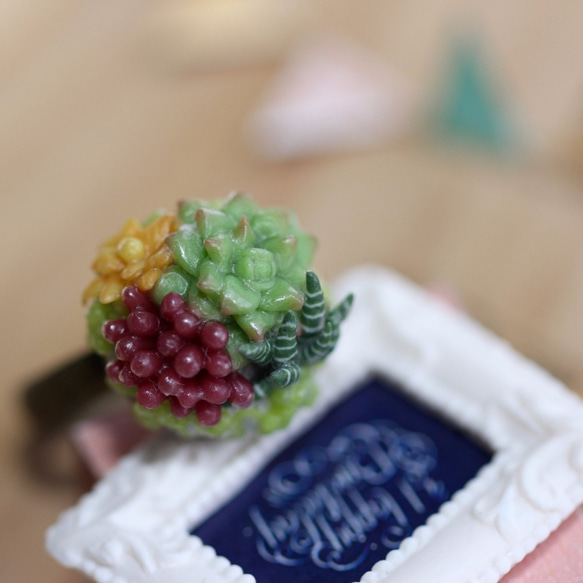 袖珍多肉戒指 Miniature Succulent Plants Ring 第1張的照片
