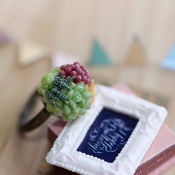 袖珍多肉戒指 Miniature Succulent Plants Ring 第2張的照片