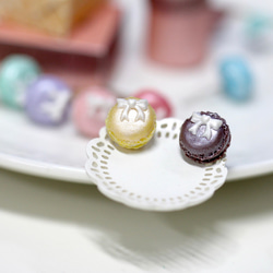 袖珍珠光馬卡龍耳環 全色套組 Miniature Pearl Macaron Set 第6張的照片