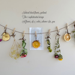 聖なる樹」パロサント 神秘の香木 自然な香り ガラスケースに（7本入り