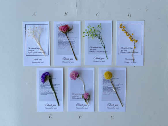 NEW! 植物標本 メッセージカード ドライフラワーThank youカード
