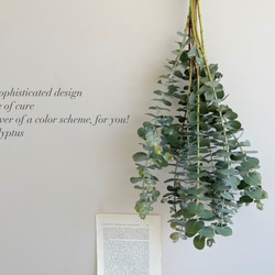 3タイプから選べる fd ユーカリのナチュラルスワッグ ドライフラワー