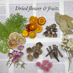 聖なる樹」パロサント 神秘の香木 自然な香り ガラスケースに（7本入り