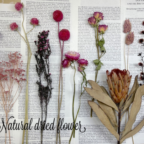 送料無料！』ピンクandレッド系 ドライフラワー詰め合わせ 花材セット