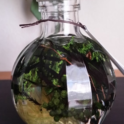 ハーバリウム・アロマディフューザー　ウッド系　ユーカリの香り♬ 5枚目の画像