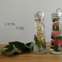 聖なる樹」パロサント 神秘の香木 自然な香り ガラスケースに（7本入り