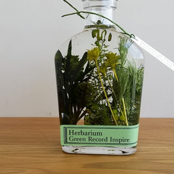 再販！ハーバリウム・グリーンプランツの草花景色5♬ 2枚目の画像