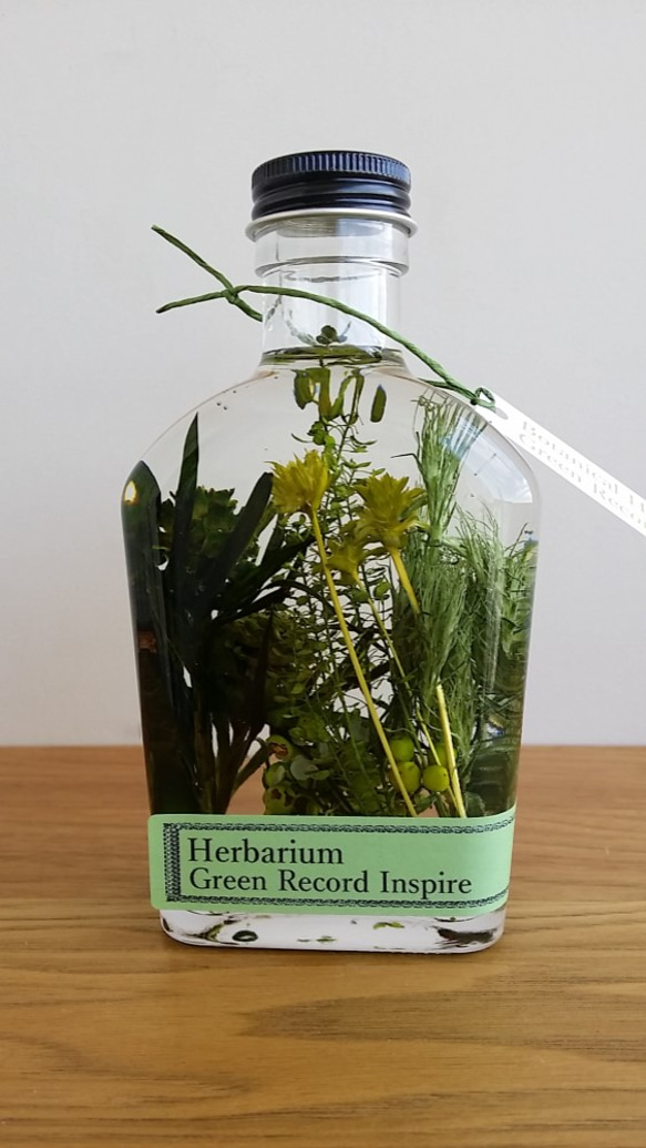 再販！ハーバリウム・グリーンプランツの草花景色5♬ 3枚目の画像