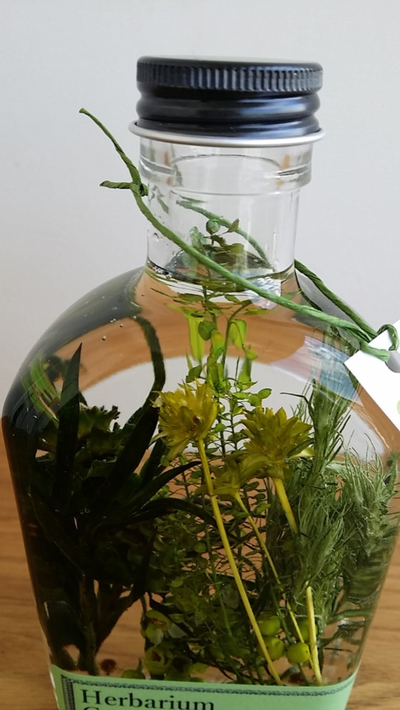 再販！ハーバリウム・グリーンプランツの草花景色5♬ 4枚目の画像