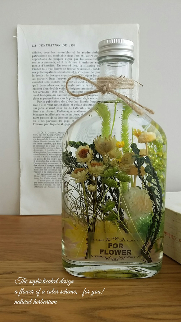 小さな植物園のお花たち・イエロー＆グリーンのハーバリウム♬ 1枚目の画像