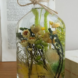 小さな植物園のお花たち・イエロー＆グリーンのハーバリウム♬ 2枚目の画像