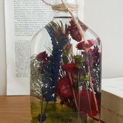 小さな植物園のお花たち・レッド＆ブルーのハーバリウム♬ 2枚目の画像