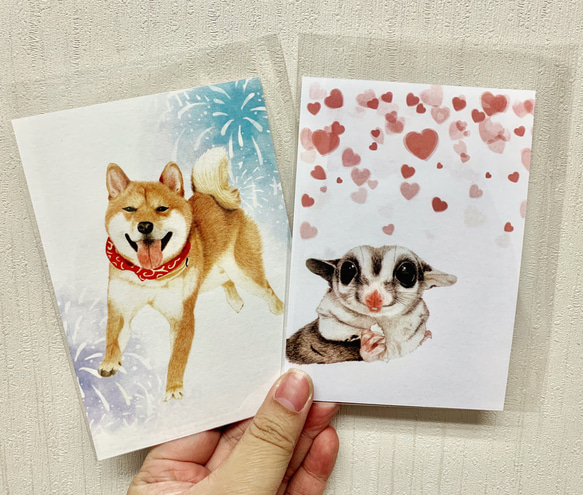 [カレーポテトハウス]柴犬、ハニーポーチフライングリスポストカード 1枚目の画像