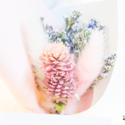 True Color Bracelet, 彩色,14K包金屬 第7張的照片