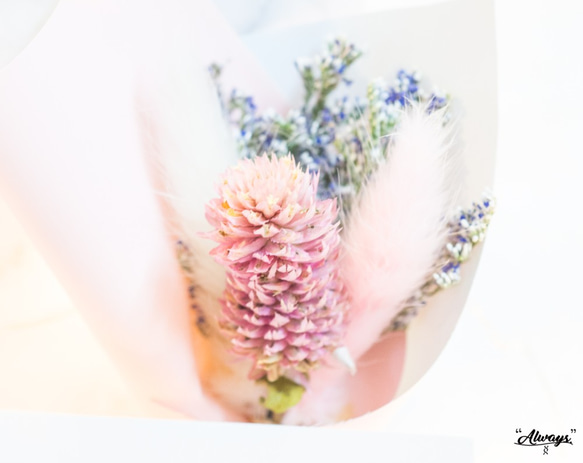 Moonlight Bracelet,月光,清透,好朋友,姐妹 第6張的照片