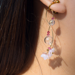 花夏,櫻花,粉紅,女神 第5張的照片