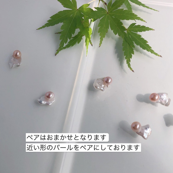  第4張的照片