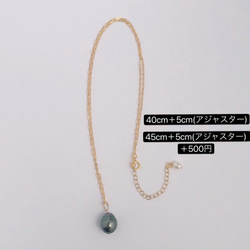 黒蝶真珠 タヒチパール 一粒 ネックレス 14kgf 【631】 2枚目の画像