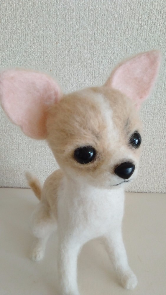 ぬいぐるみ 羊毛フェルト チワワ 羊毛フェルト Garu がる 通販 3173058