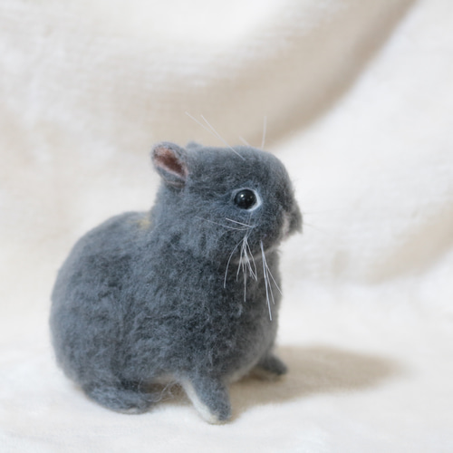 ネザーランドドワーフのベビーうさぎさん ブルーオター 羊毛フェルト