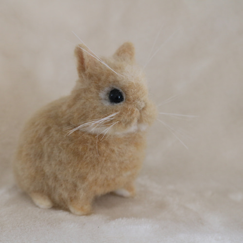 当時物 ヴィンテージ ファースト社 ネザーランドドワーフ うさぎ 当時