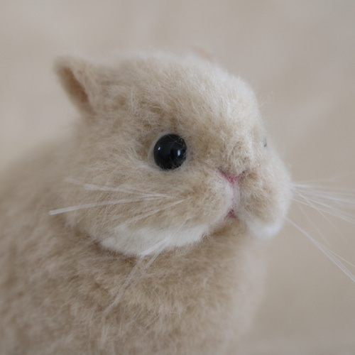 うさぎ 微風 on X: 