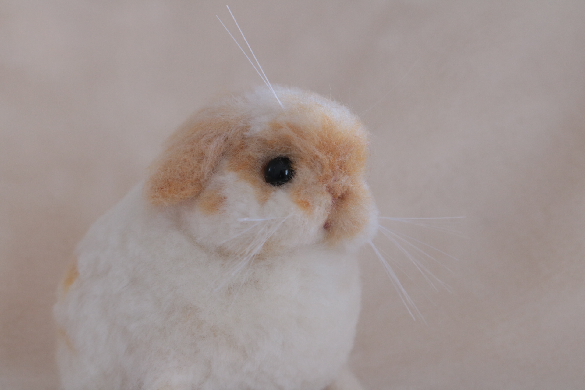 ロップイヤーのベビーうさぎさん ブロークンオレンジ 羊毛フェルト