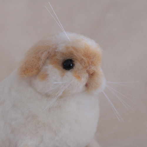 ロップイヤーのベビーうさぎさん ブロークンオレンジ 羊毛フェルト