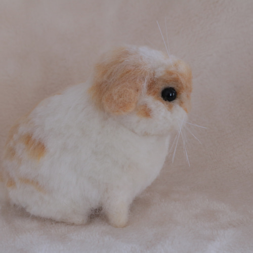 ロップイヤーのベビーうさぎさん ブロークンオレンジ 羊毛