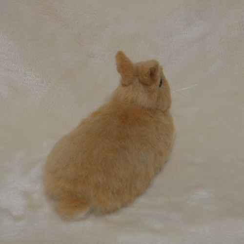 羊毛フェルト　うさぎ　ネザーランドドワーフ　オレンジ系 1_8993681753674ba12c4f716e30aa