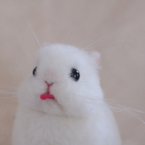羊毛フェルト 白うさぎ ハンドメイド プレゼント うさぎ 羊毛フェルト ネザーランドドワーフ ミニうさぎ 白 白