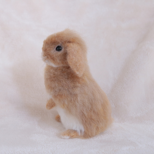 sold)うたっちのリアルうさぎさん ロップイヤー オレンジ 羊毛フェルト
