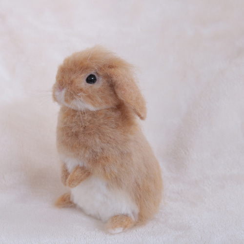 sold)うたっちのリアルうさぎさん ロップイヤー オレンジ 羊毛フェルト