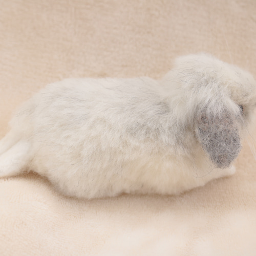 sold》リラックスポーズのベビーうさぎさん フロスティ ロップイヤー