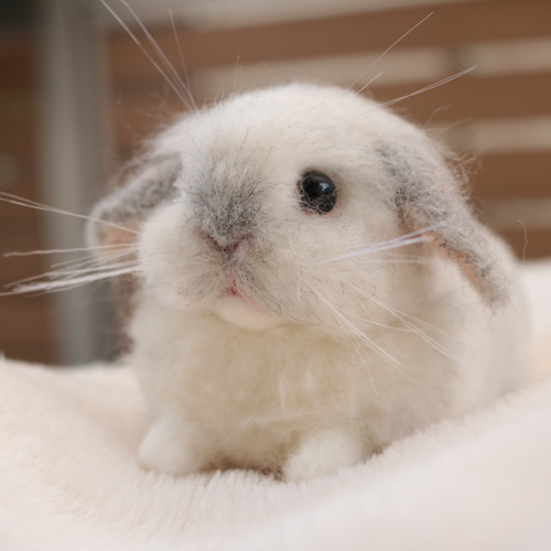 lapiniere ラピニエール　羊毛　うさぎ　手作り　ハンドメイド　フロスティ lapiniere ラピニエール 羊毛 うさぎ 手作り ハンドメイド フロスティ