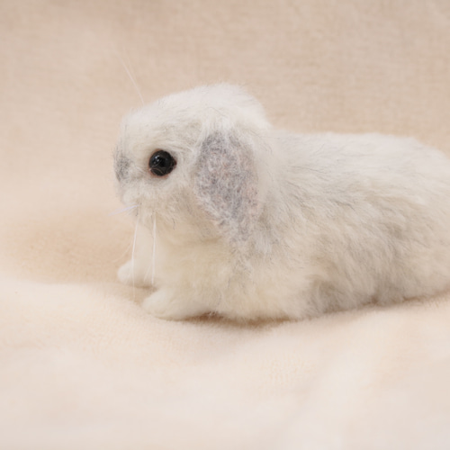 えみりさま確認用 羊毛フェルト オーダー「リアルで可愛いうさぎちゃん」ロップイヤ えみりさま確認用 羊毛フェルト オーダー「リアルで可愛いうさぎちゃん