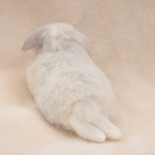 sold》リラックスポーズのベビーうさぎさん フロスティ ロップイヤー