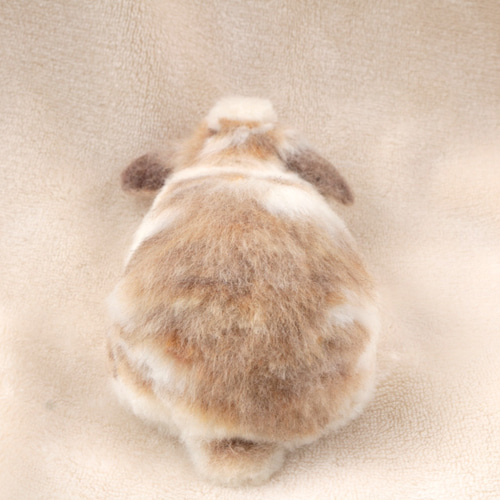 sold)ペタッとしているうさぎさん ロップイヤー ブロークン