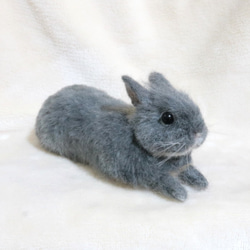 確認用　羊毛フェルト　うさぎ　ティモテ　ブルーオターorライラックオター 1_06fa03cde0b856cae6d68851acc4