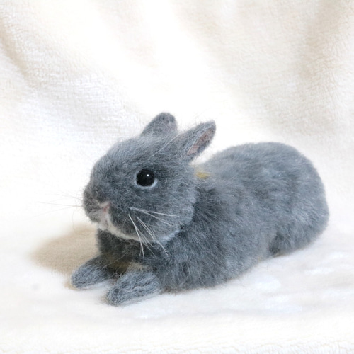 u.☆様オーダー　羊毛フェルト　うさぎ　のびーーーるネザーランドドワーフ u.☆様オーダー 羊毛フェルト うさぎ のびーーーるネザーランドドワーフ