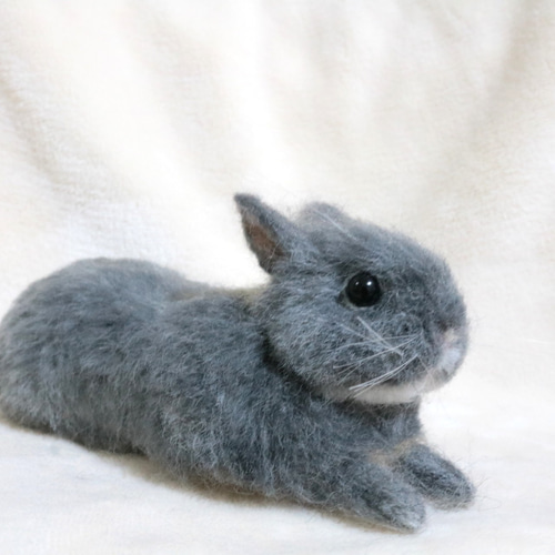 u.☆様オーダー　羊毛フェルト　うさぎ　お座りドワーフ(ゆきちゃん)確認用 u.☆様オーダー 羊毛フェルト うさぎ お座りドワーフ(ゆきちゃん)確認