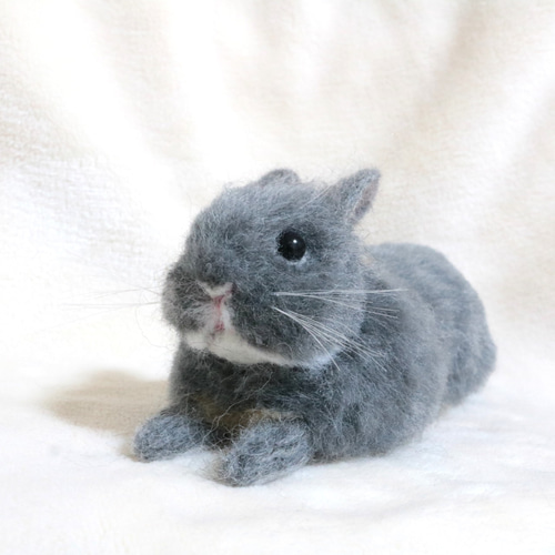 ブルーオターのリラックスうさぎさん ネザーランドドワーフ 羊毛