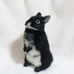 うさぎ様はブラック1枚 しっぽーち＊ブラックオター - うさぎマシマシ | minne 国内最大