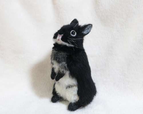 sold うたっちをしているブラックオターのうさぎさん